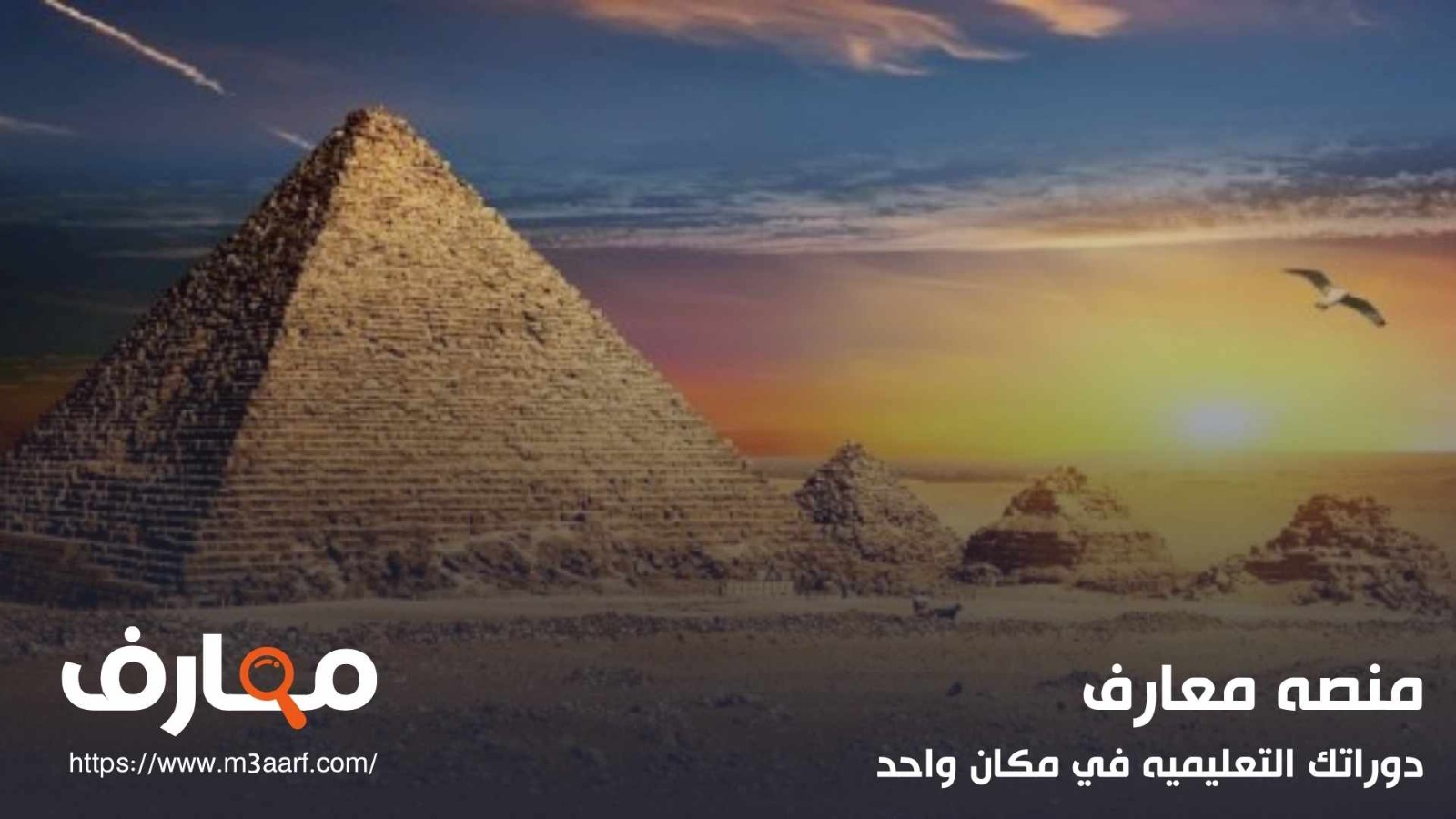تخصص علم المصريات - Egyptology